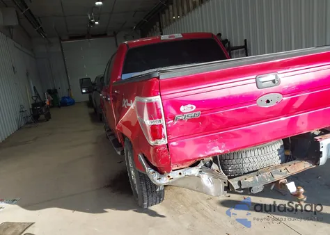 2009 Ford F-150 Fx4/King Ranch/Lariat/Platinum/Xl/Xlt z USA, uszkodzony, nr VIN 1FTPW14VX9FA15155